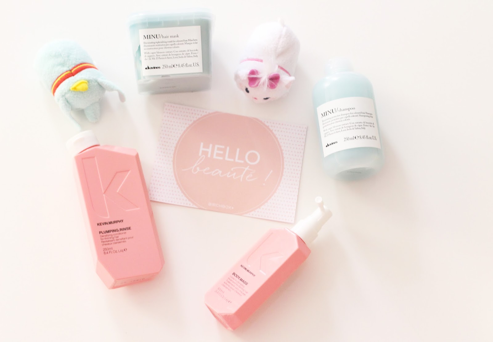 birchbox routine cheveux